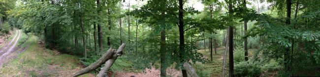 Wildverkauf R�dermark